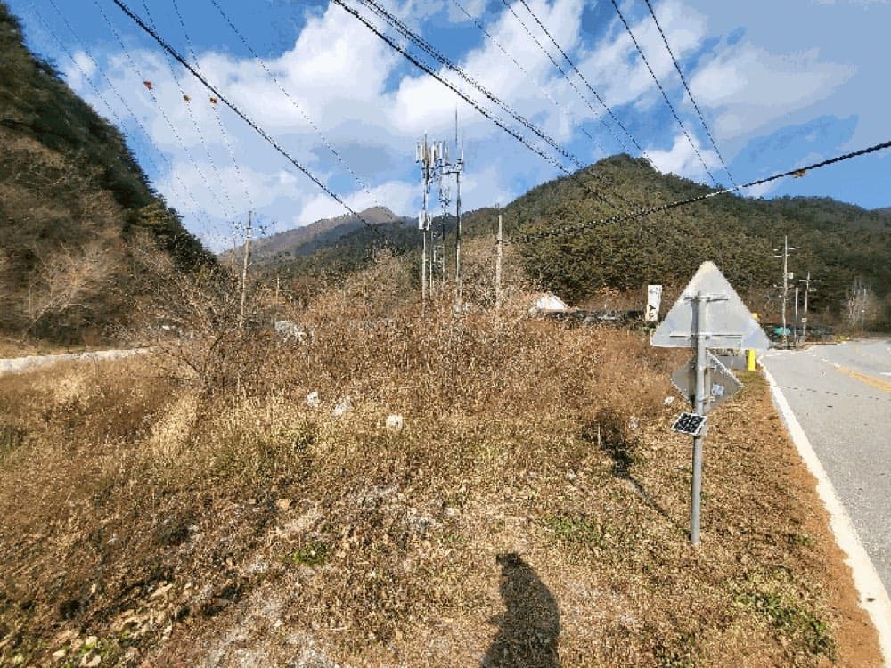 담배값 아끼면 살수있는 강원도 땅, 증여용 — 본문 이미지 3