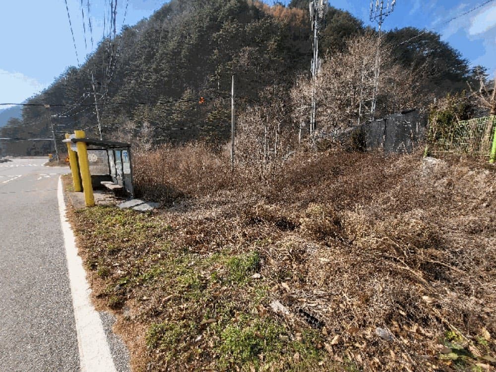 담배값 아끼면 살수있는 강원도 땅, 증여용 — 본문 이미지 4