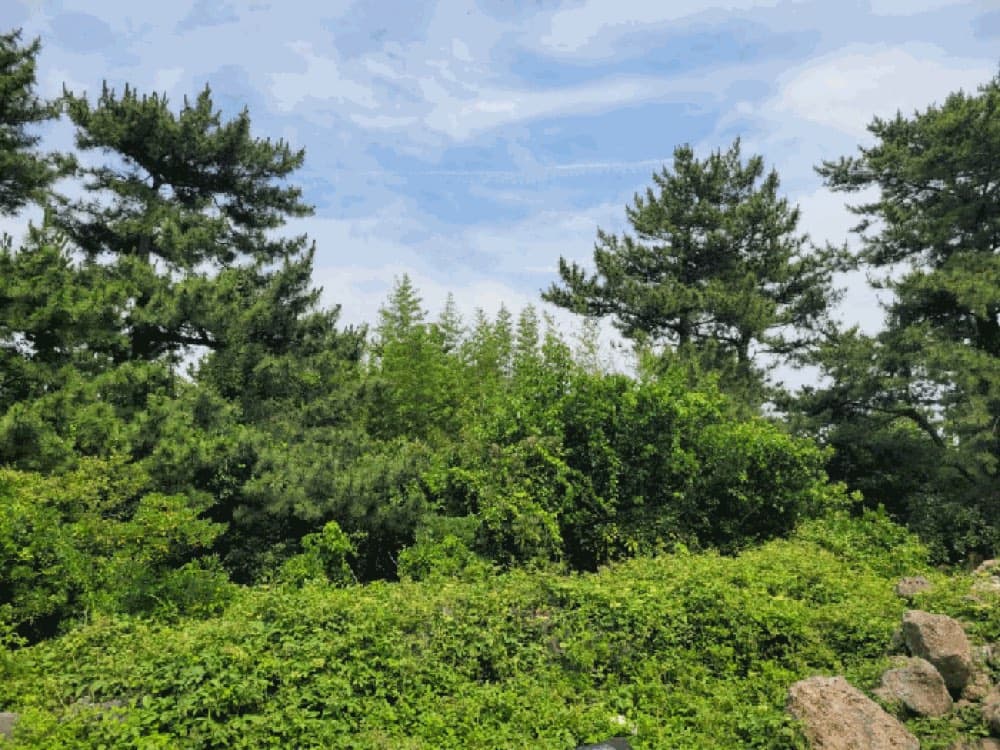 제주도 바다뷰 건물 경매 — 본문 이미지 28