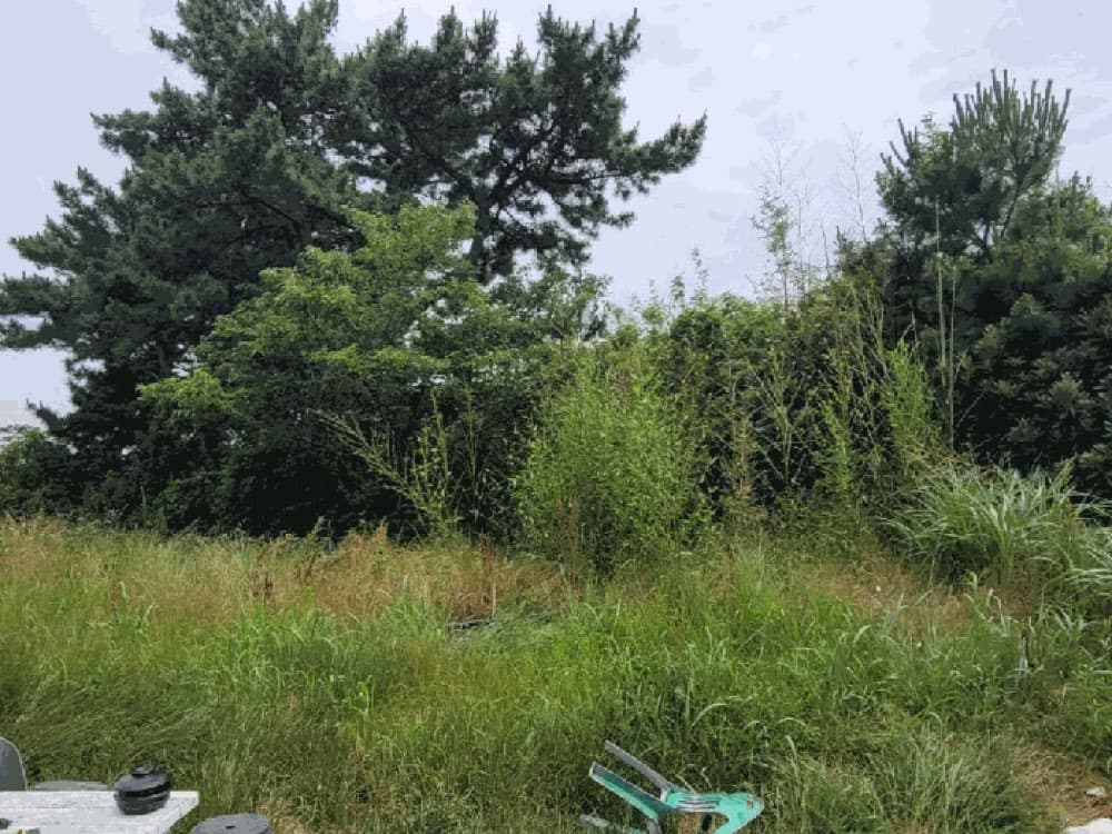 제주도 바다뷰 건물 경매 — 본문 이미지 29